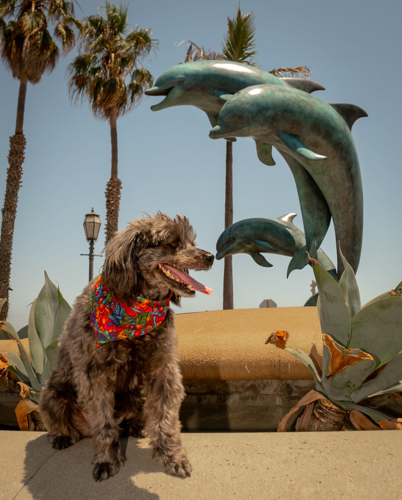Where's Sparkie? Visiting a wharf